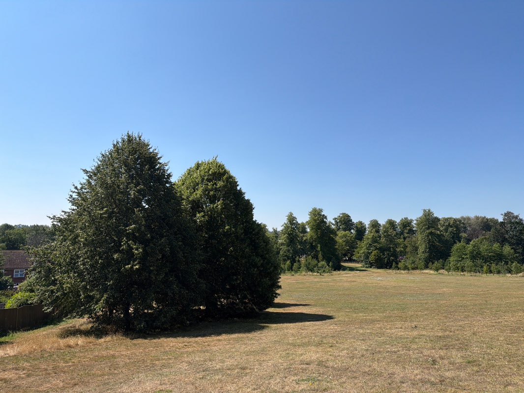 walking near me in Goldwell Park in summer