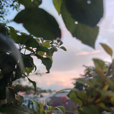 шагаем в Жизни. Екатерина post image