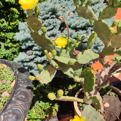 шагаем в Жизни. шагаем в Жизни. post image