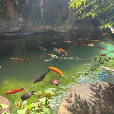 шагаем в Жизни. шагаем в Жизни. post image