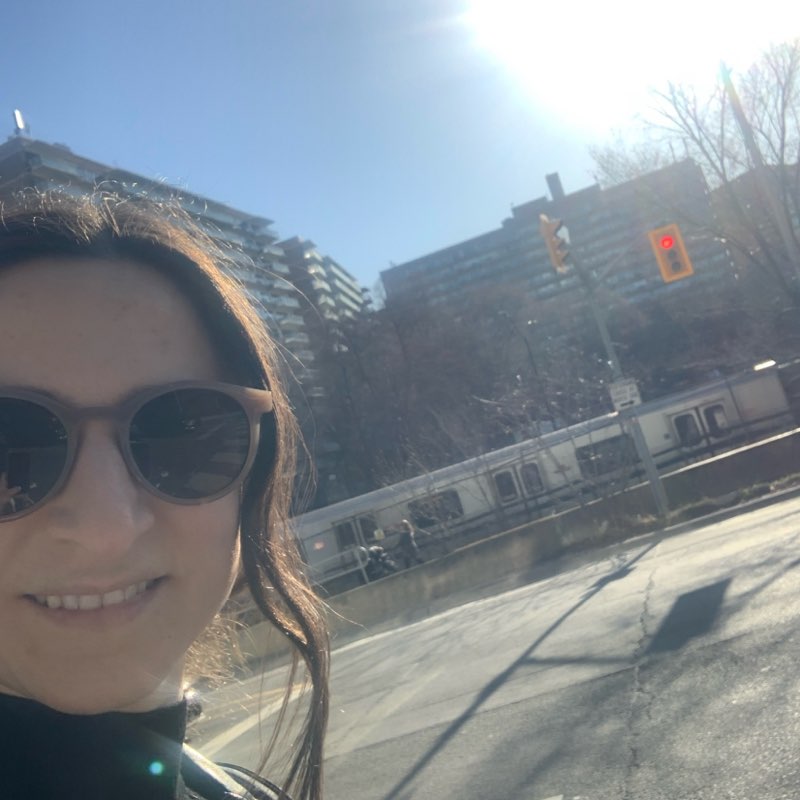 Ruzanna Shatiryan icon