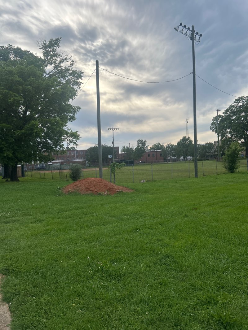 walking near me in Fairfield City Park in spring
