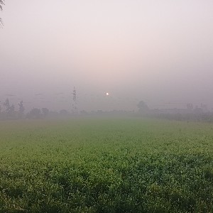 Ajeet profile