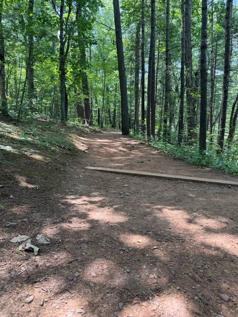 walking near me in Manassas National Battlefield Park in summer