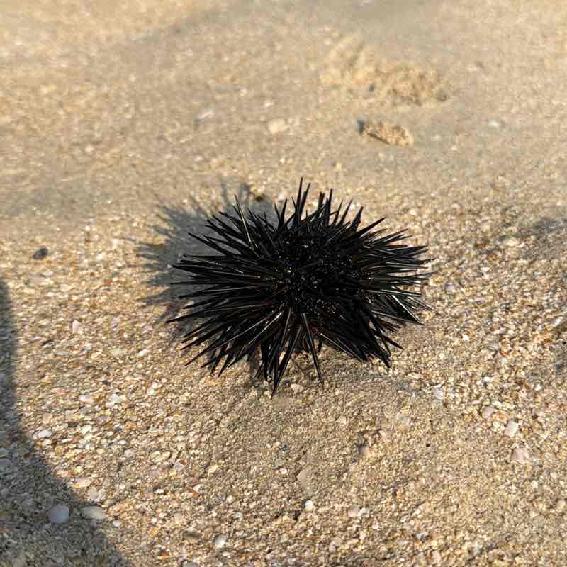 Аюнамарафон Анна post image