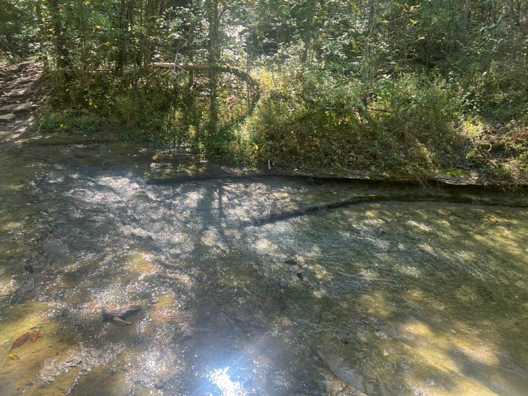 walking near me in Turkey Run Park in autumn