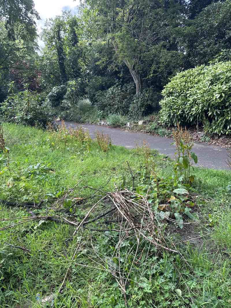 walking near me in Falinge Park in autumn