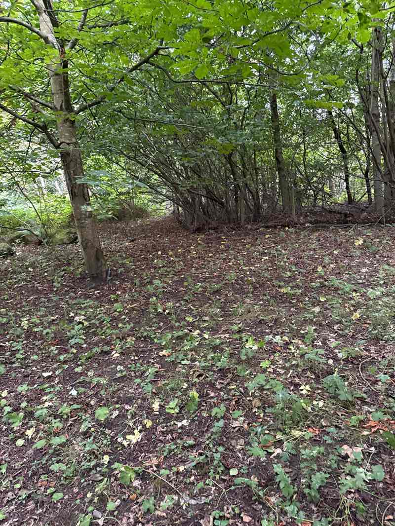 walking near me in Silverlink Biodiversity Park in autumn