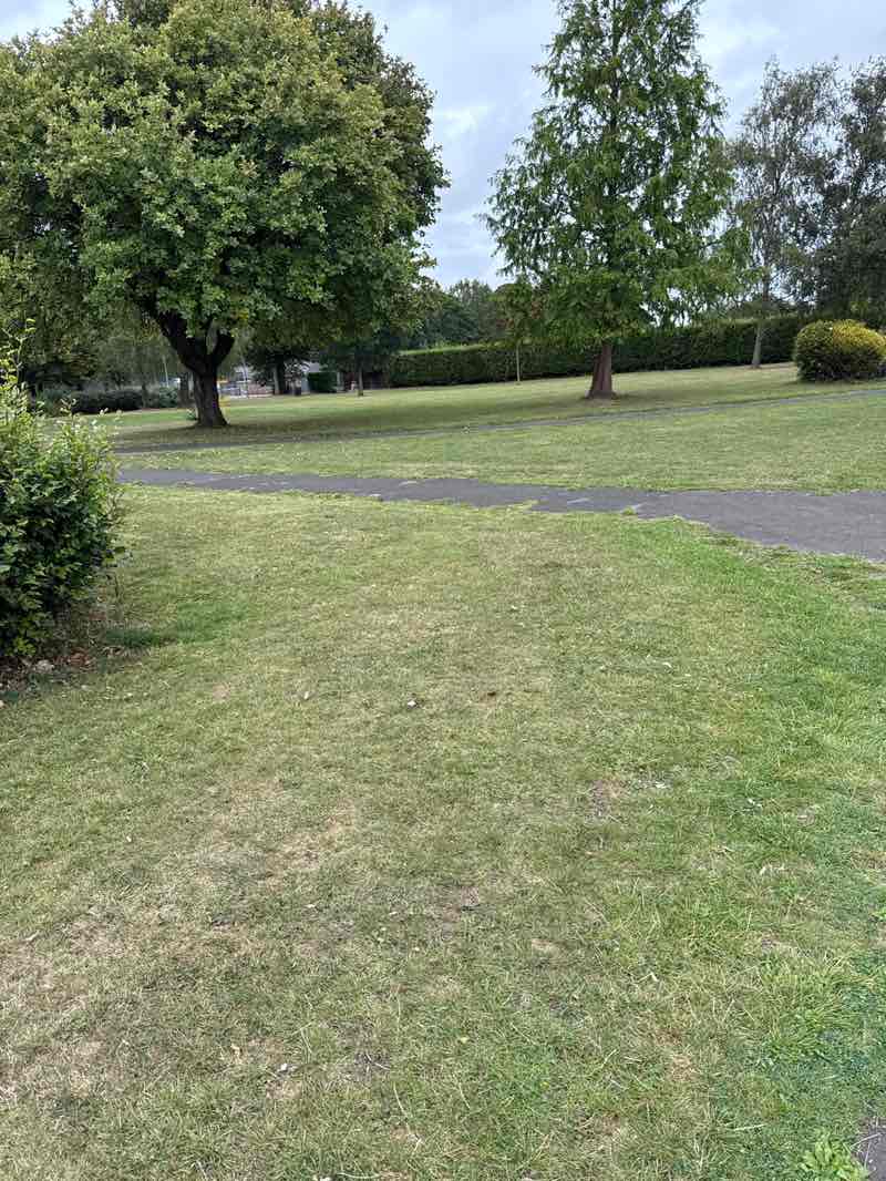 walking near me in Springfield Park in autumn