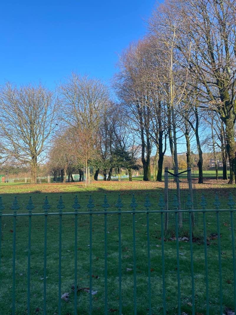 walking near me in Hoyles Park in autumn