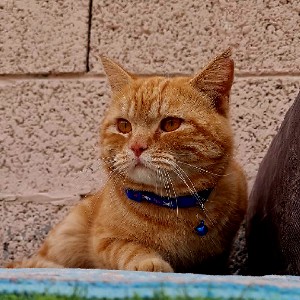 🌷sarah hadi🌷          👉🏻 profile