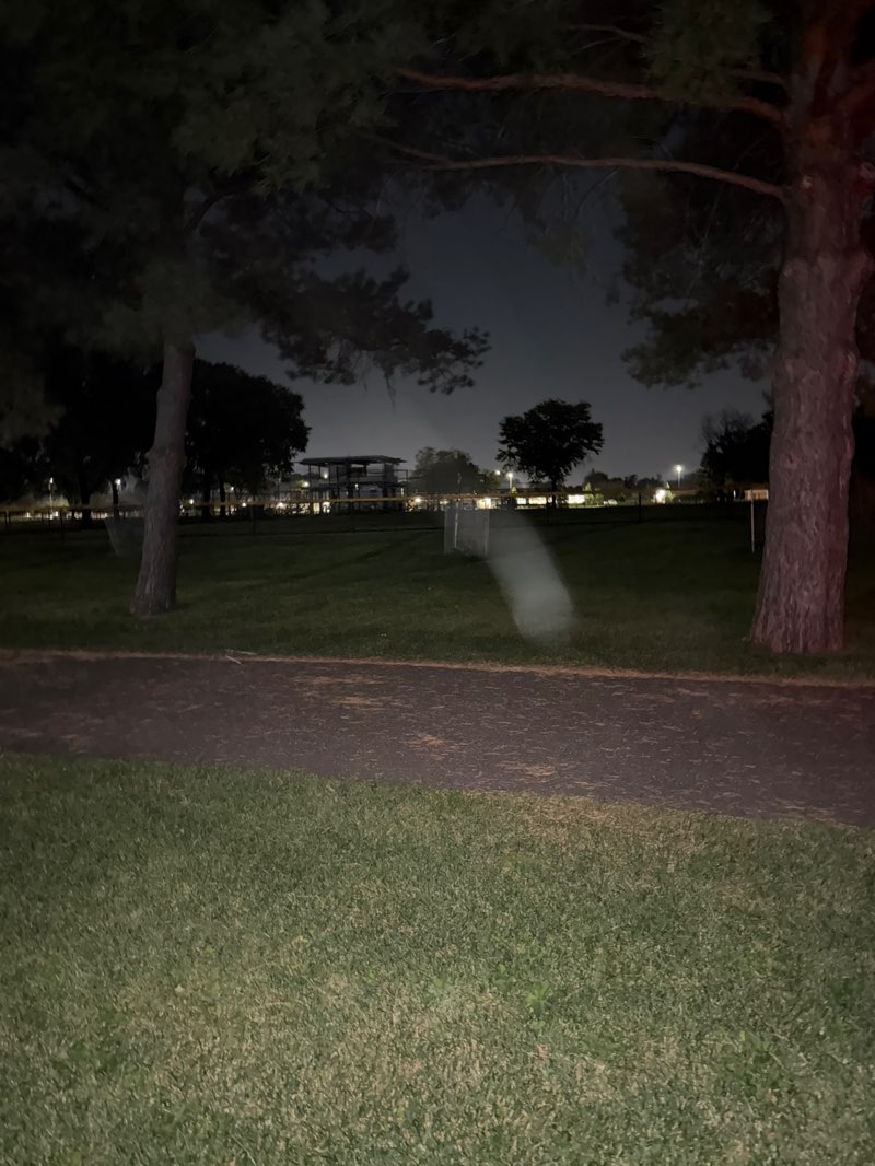 walking near me in Evergreen Park in autumn