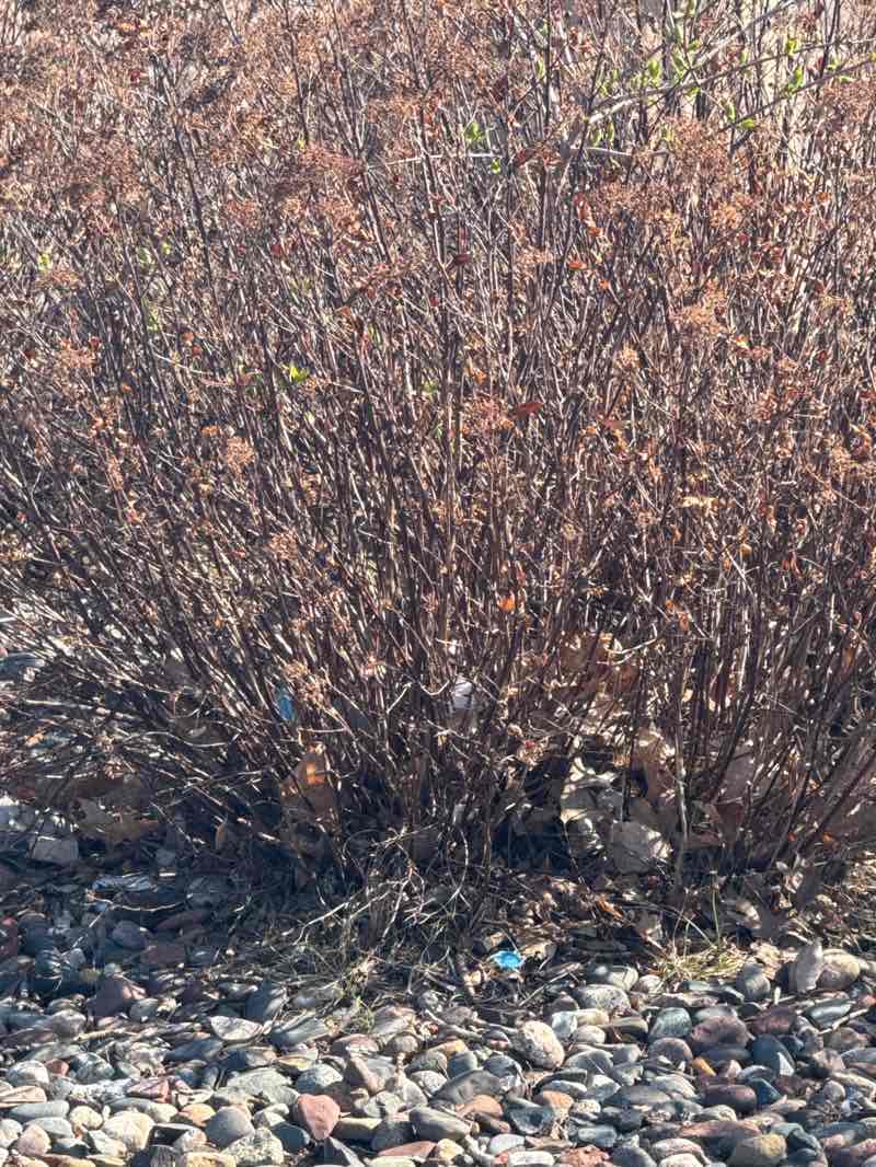 walking near me in Zane Sports Park in spring