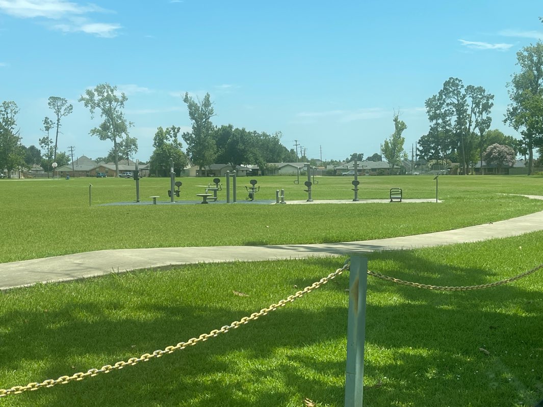 walking near me in Mulberry Park in summer