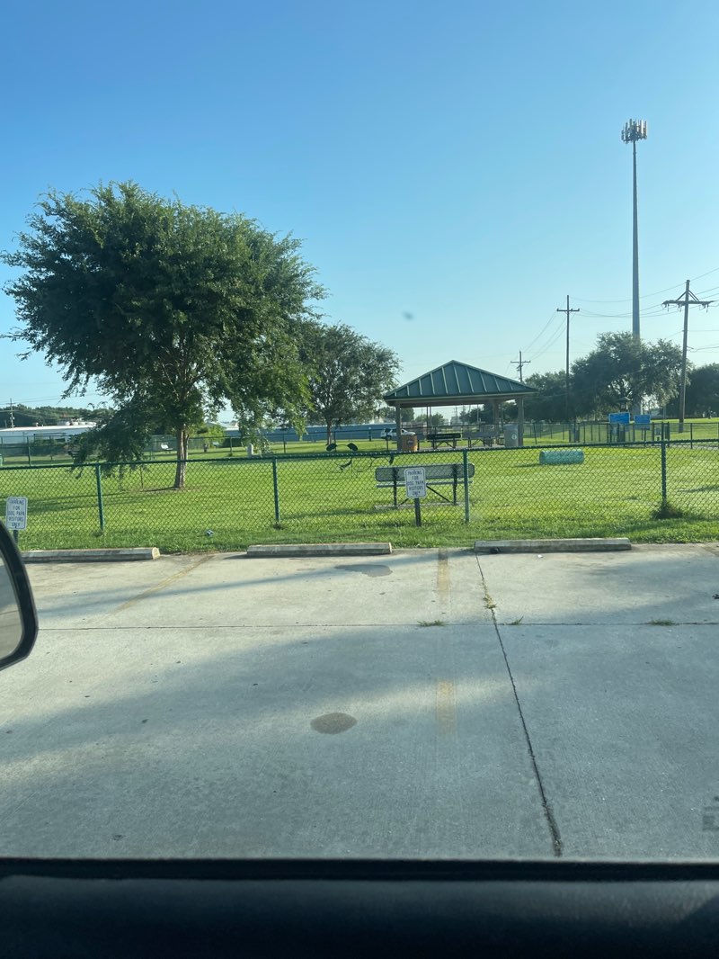 walking near me in Norman Swanner Dog Park in summer