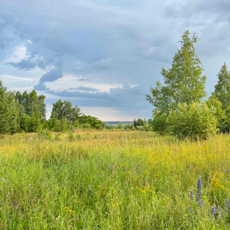 DOBRO Julia post image