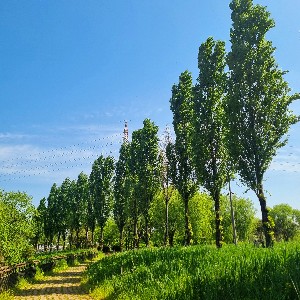 기후대기_수정 icon