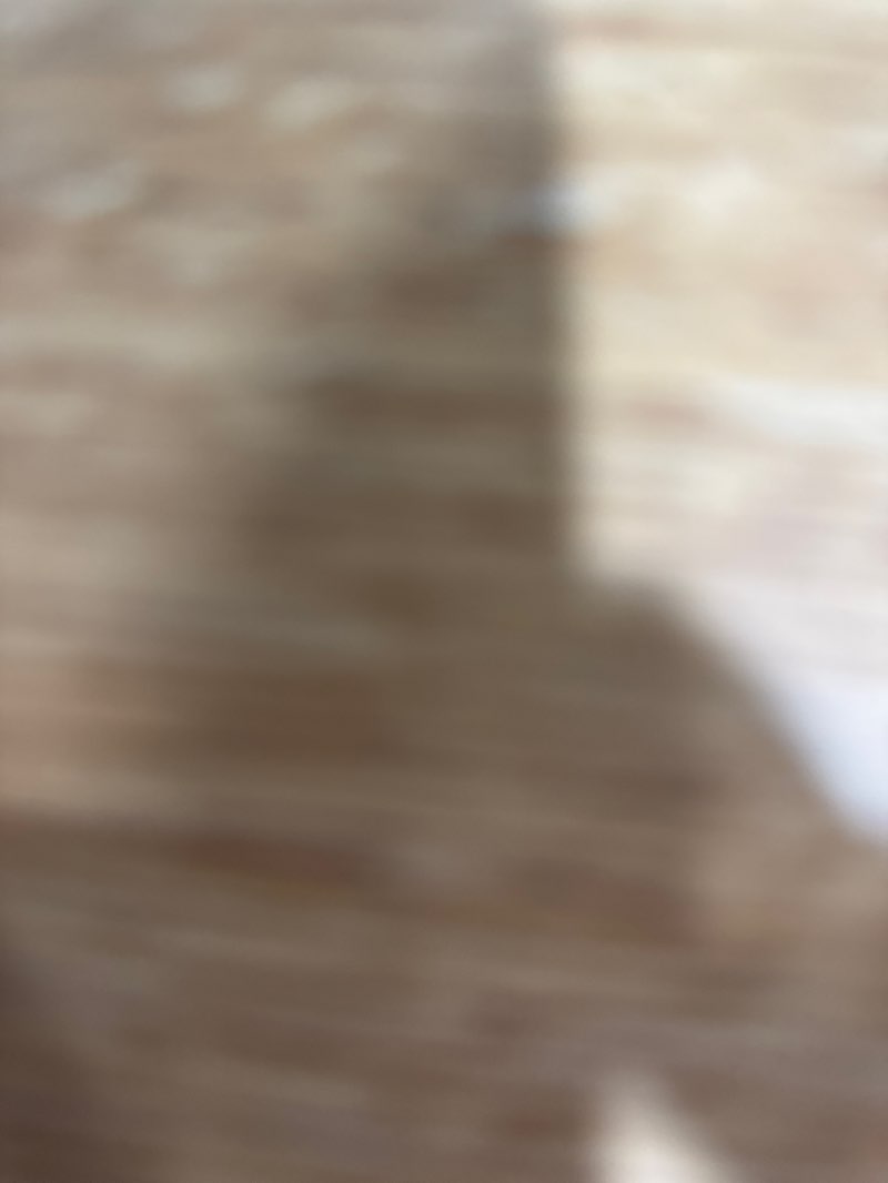 walking near me in Hempt Field in summer