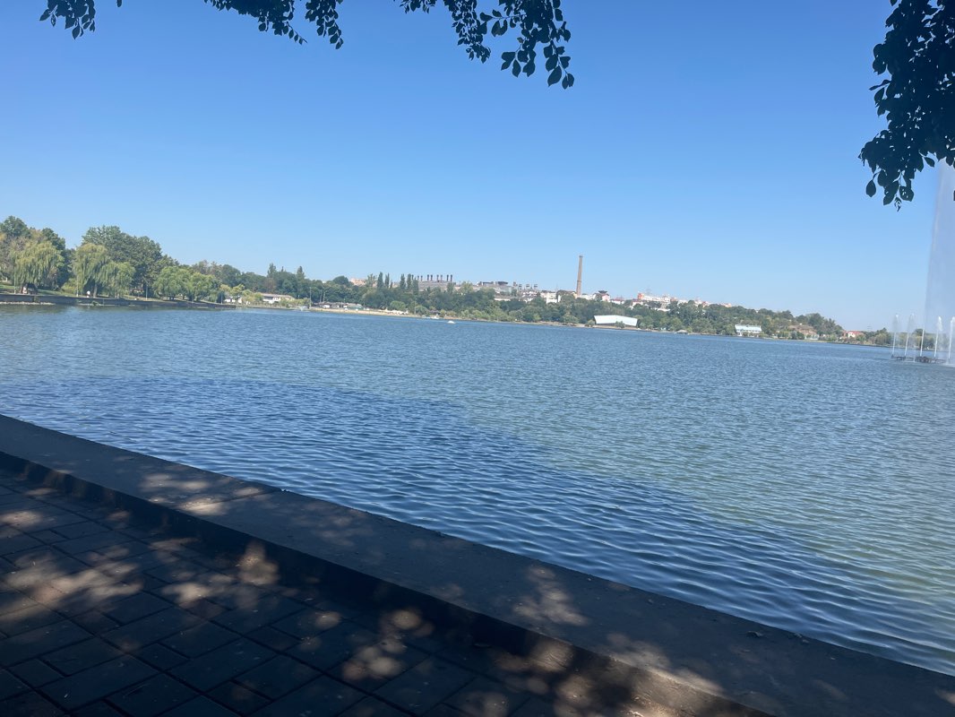 walking near me in Parcul Ciuperca in autumn
