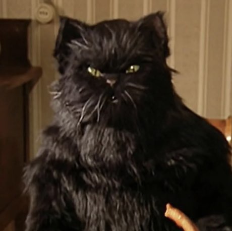 Olga Pykhteeva profile