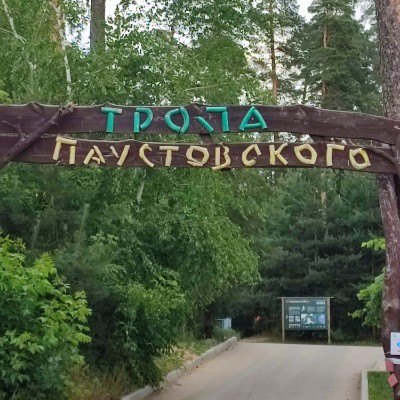 Стройтерминал⚡️Энергия ходьбы Светлана Гаврилина post image