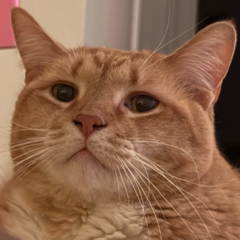 Deanne Pauline Hynes