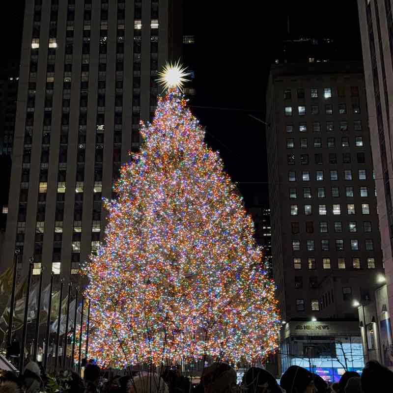 Deanne Pauline Hynes post 1