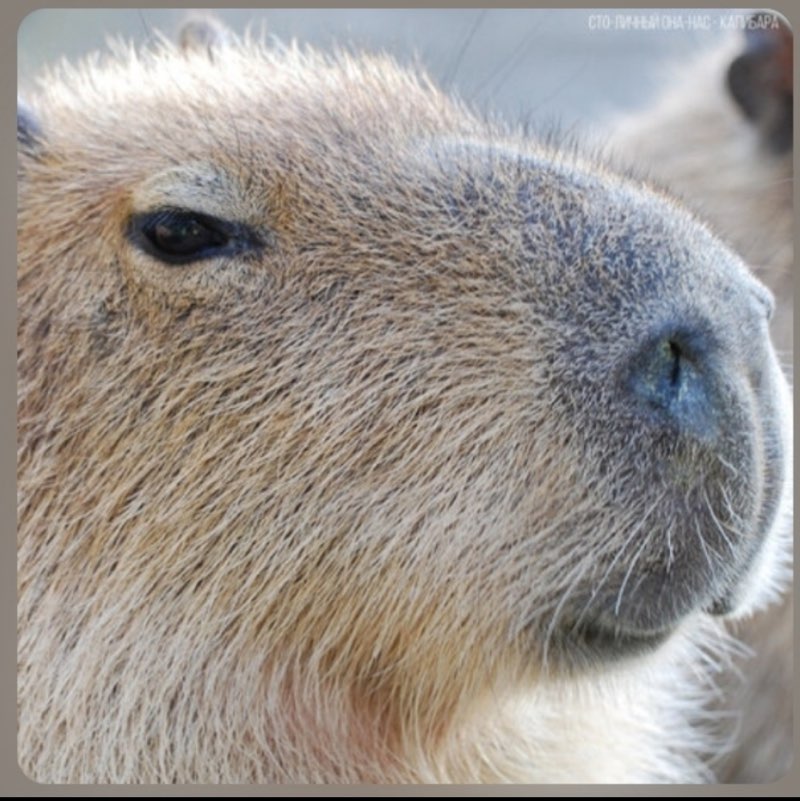 Александрsanotrader profile