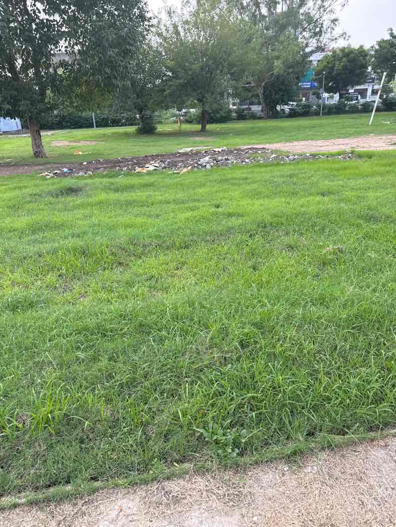 walking near me in Big Park Airport Road in autumn