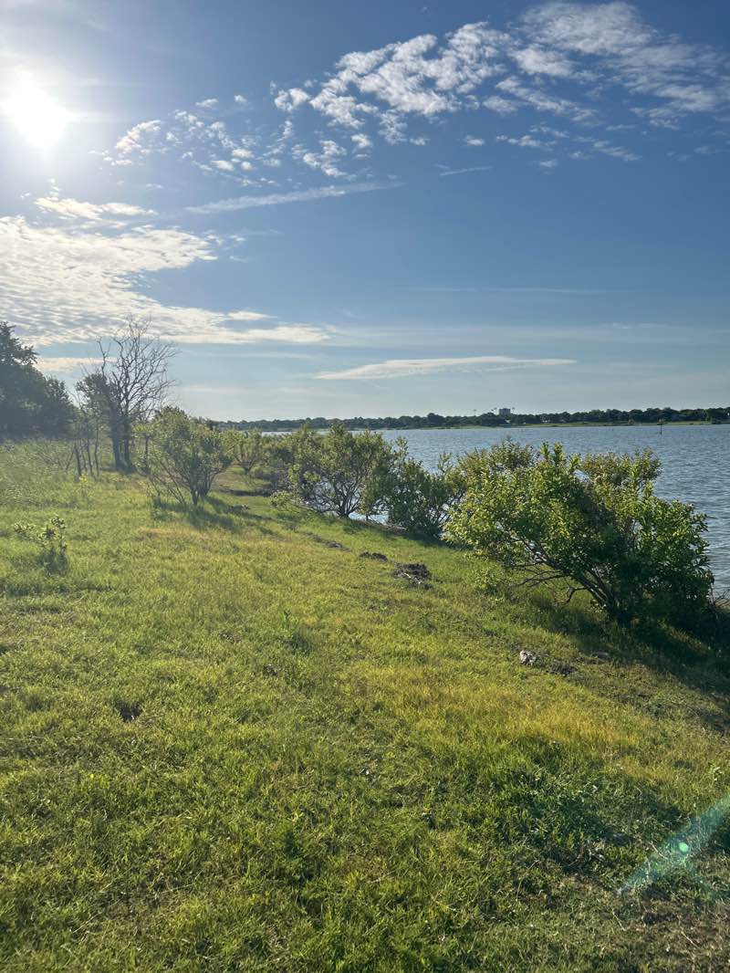 walking near me in Doe Branch Park in summer
