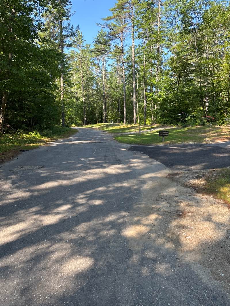 walking near me in Greenfield State Park in summer