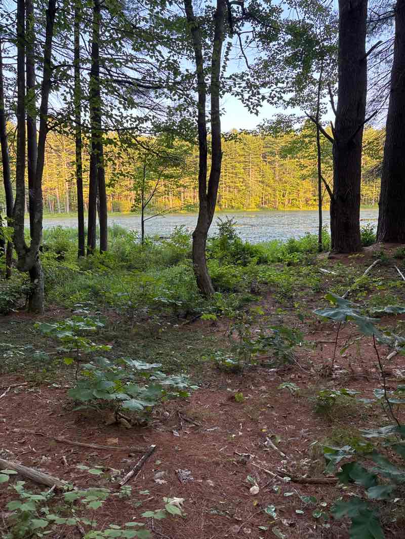 walking near me in Beaver Brook Association in autumn