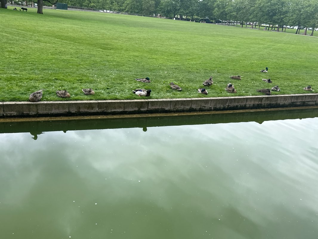walking near me in Downtown Park in summer