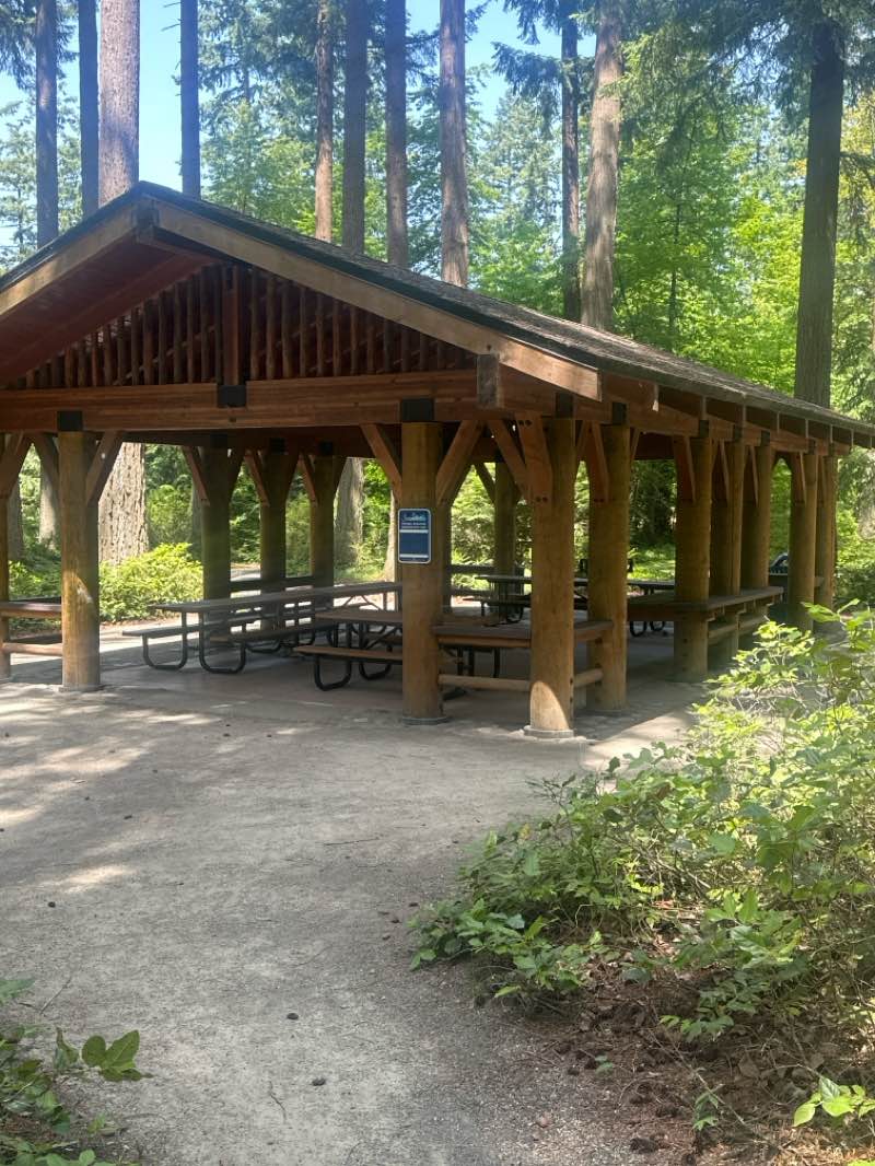 walking near me in Alderbrook Park in summer