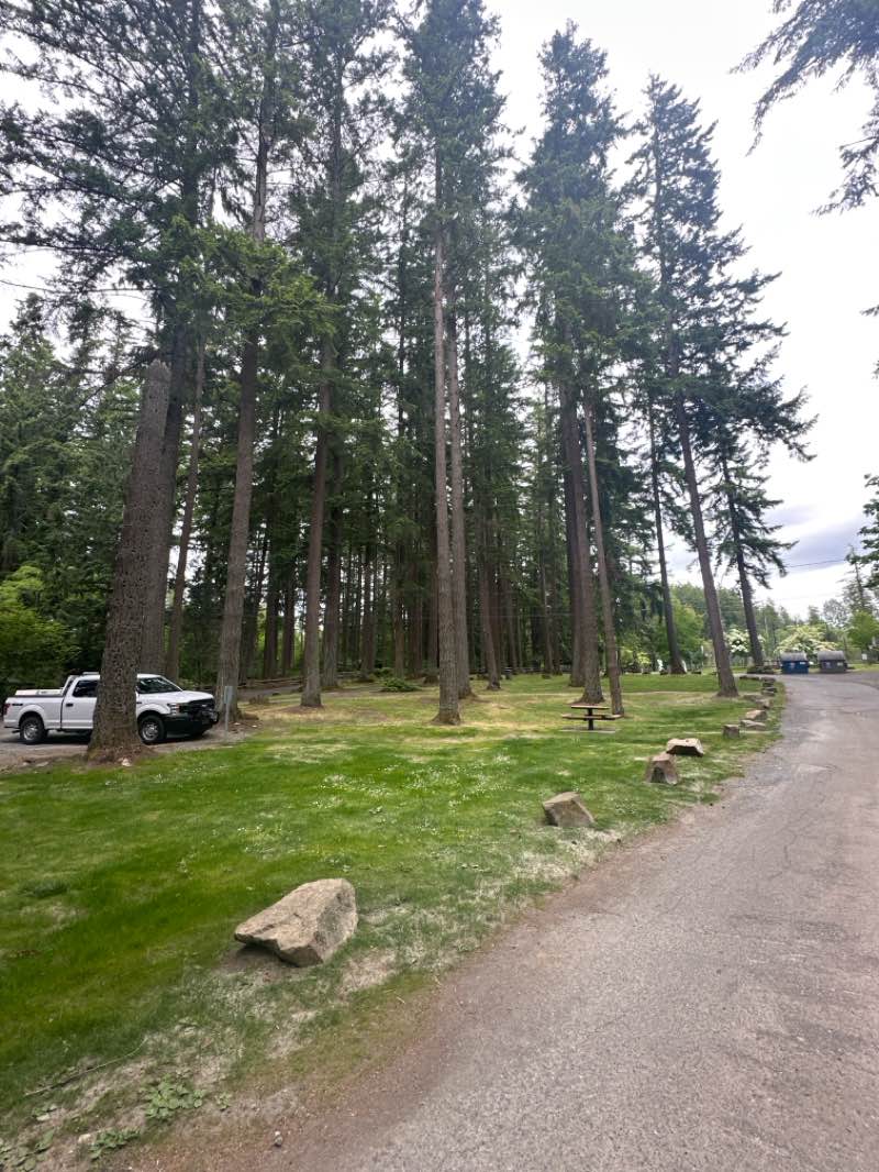 walking near me in Lakota Park in summer