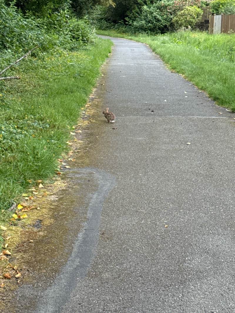 walking near me in Madrona Park in summer