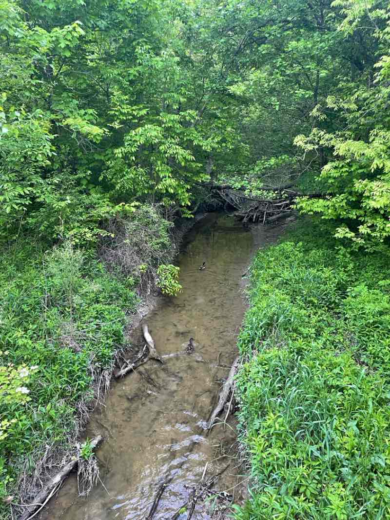 walking near me in Macomb Corners Park in spring