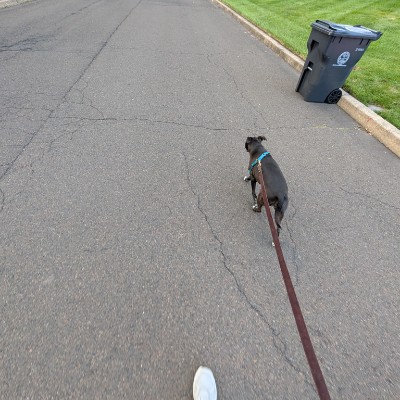 Geoff A. post 1