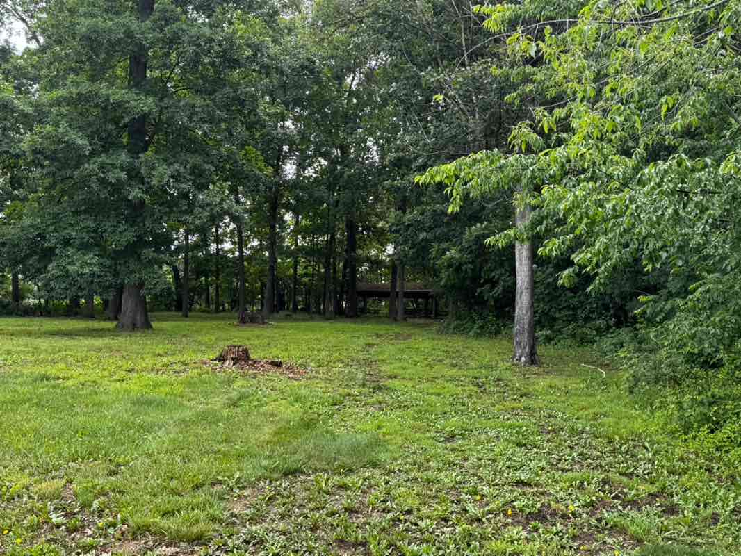 walking near me in East Rockingham Recreation Association in spring