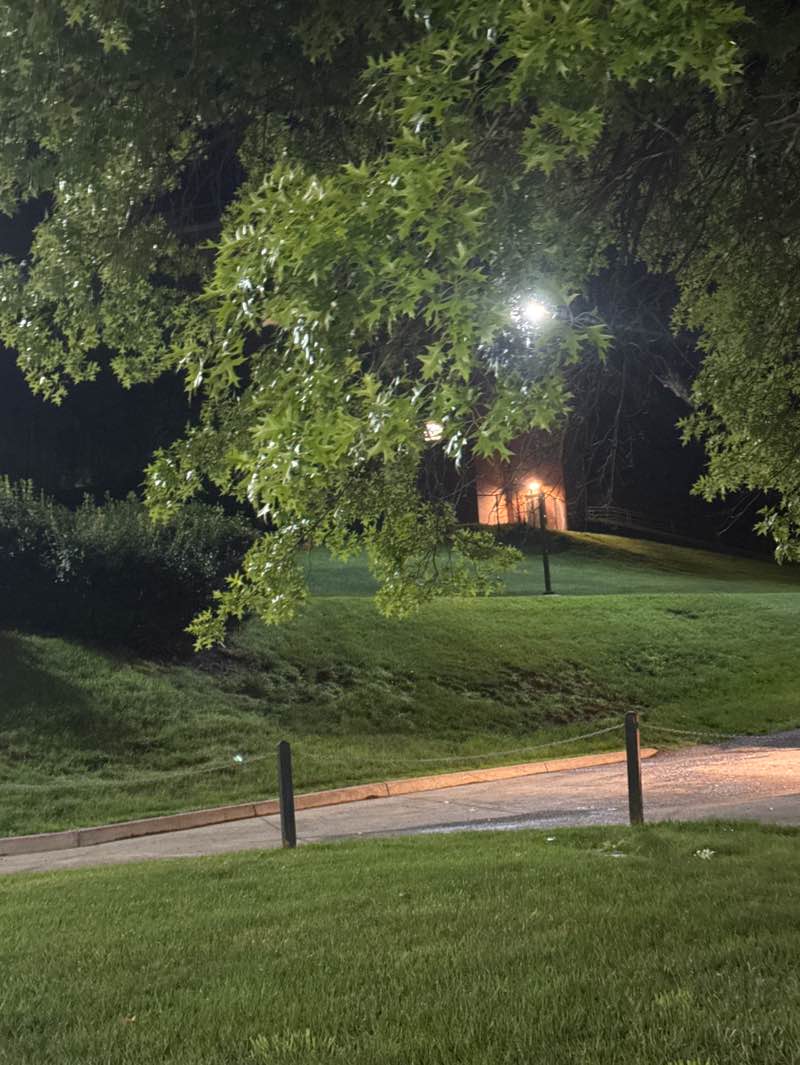 walking near me in Hillside Field in summer