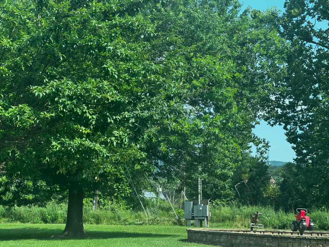 walking near me in North Park in summer