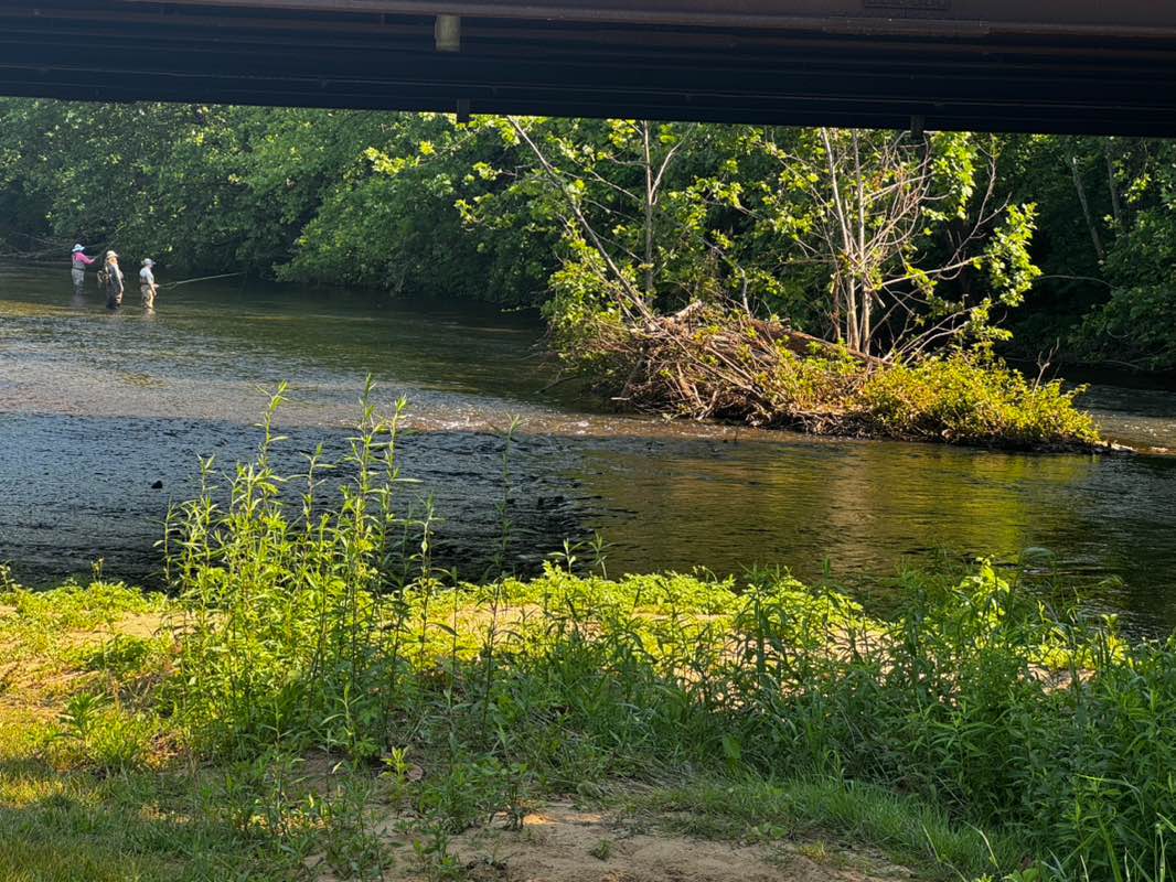 walking near me in Constitution Park in summer