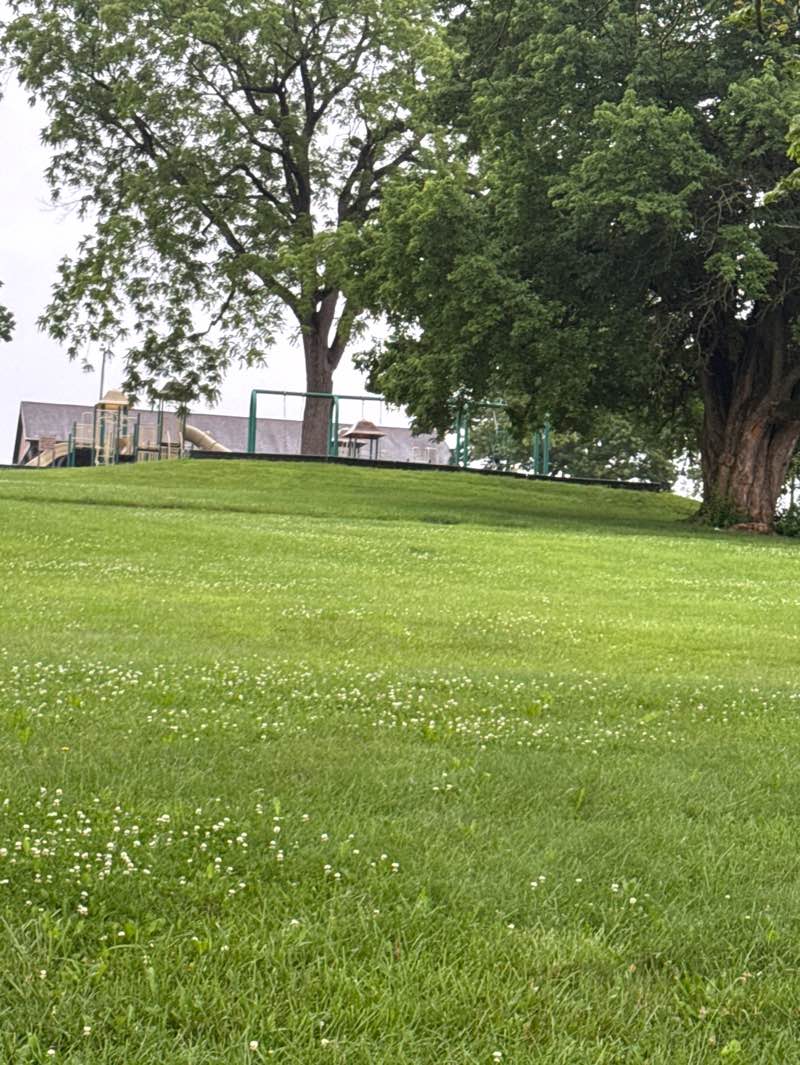 walking near me in Ralph Sampson Park in summer