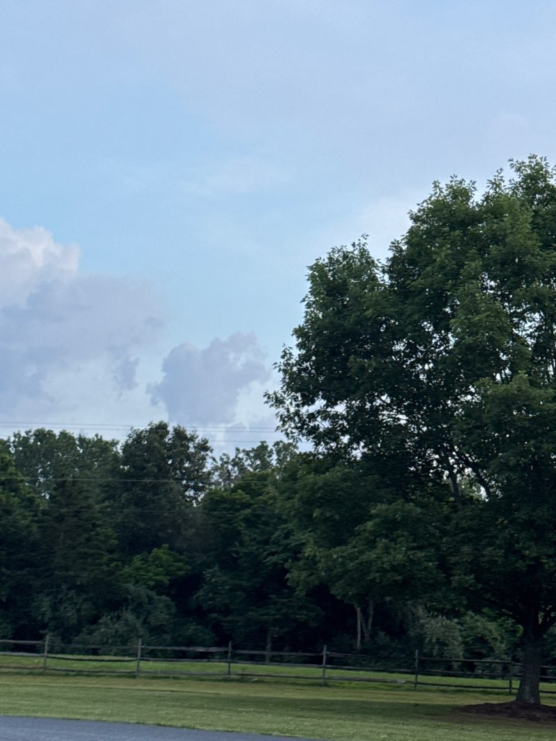 walking near me in Town Park in summer
