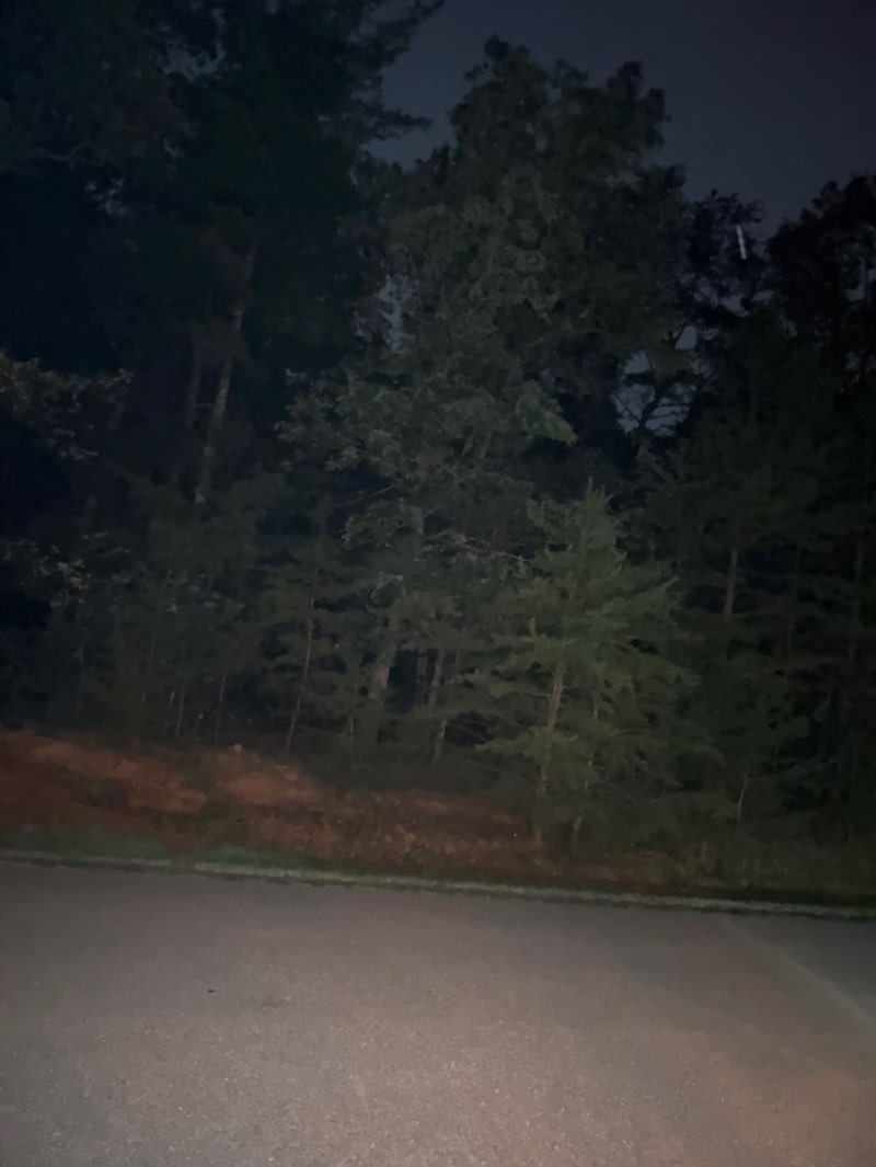 walking near me in Greene County Park in summer