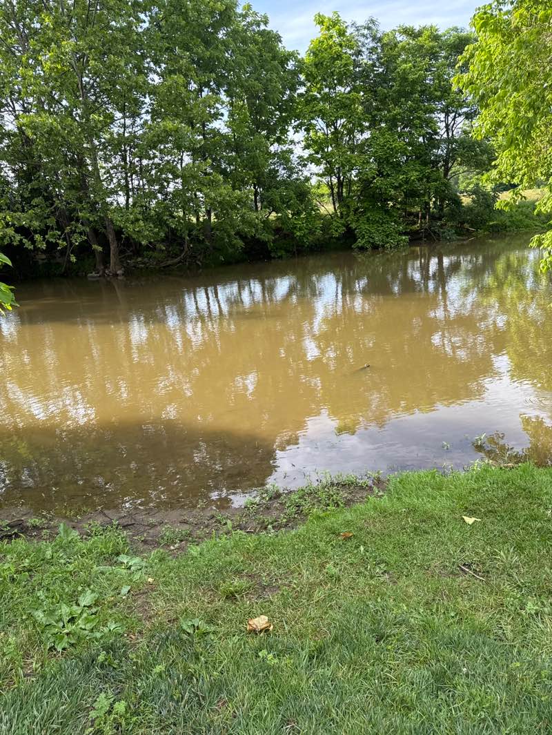 walking near me in Crimora Park in summer