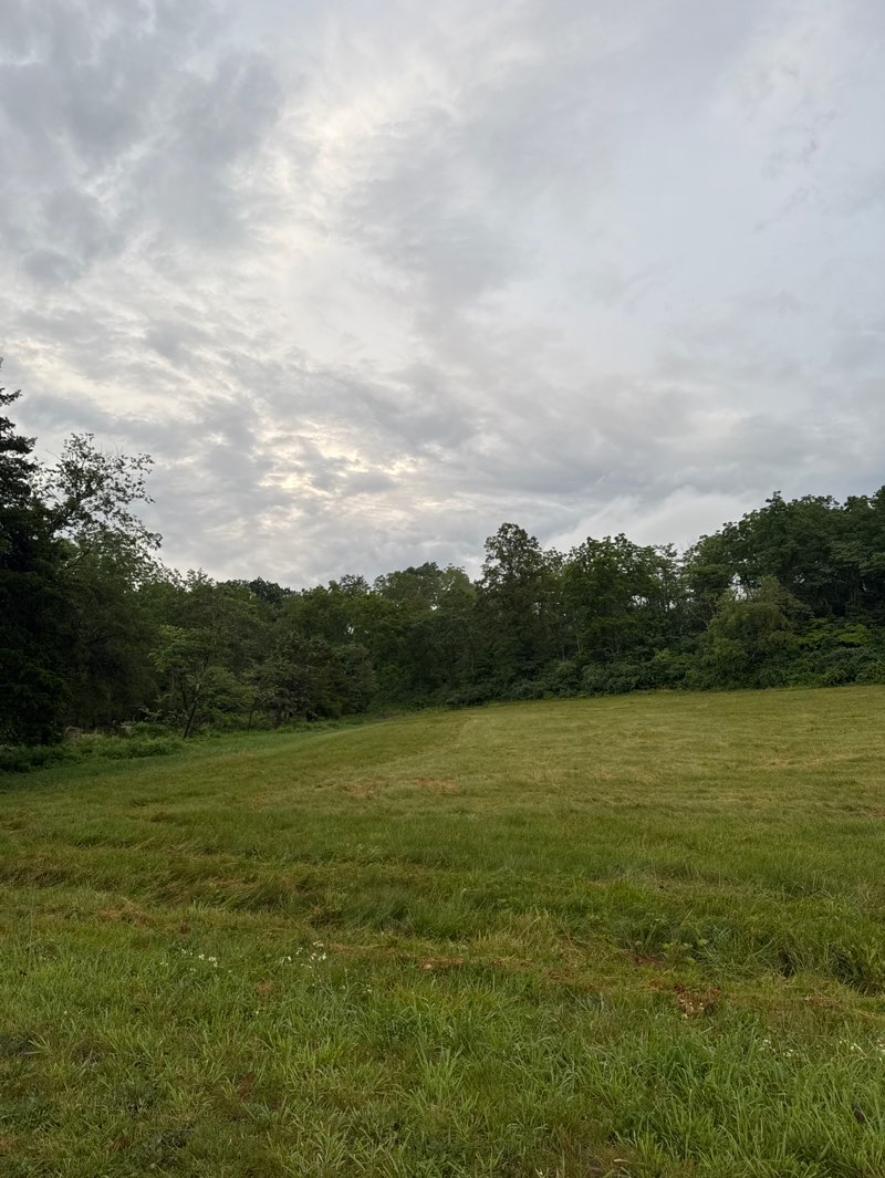 walking near me in Skills Kitchen-PumpTrack in summer
