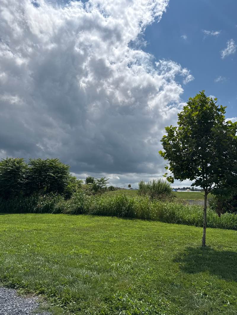 walking near me in Rockingham Park at the Crossroads in autumn