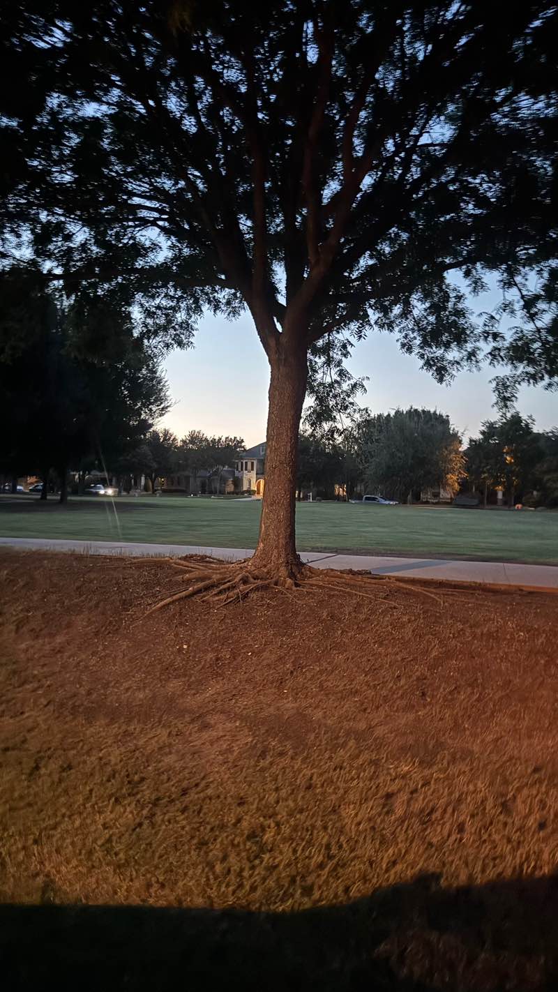 walking near me in Quail Run Park in autumn