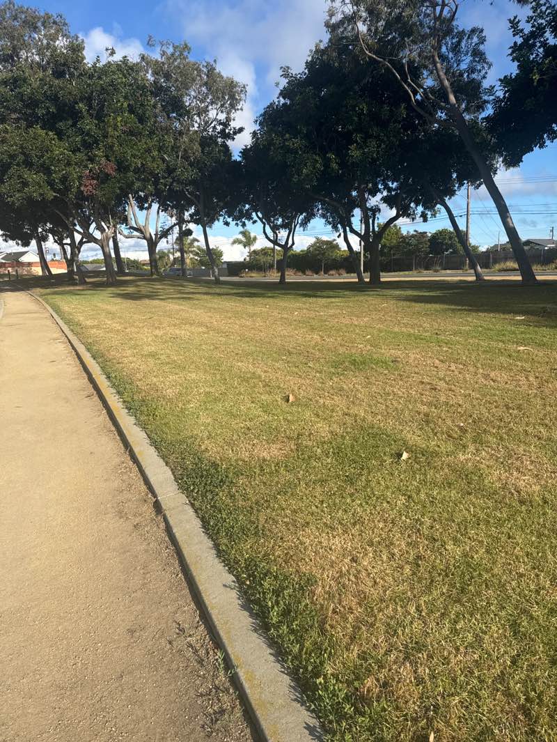 walking near me in Sunnyglen Park in spring